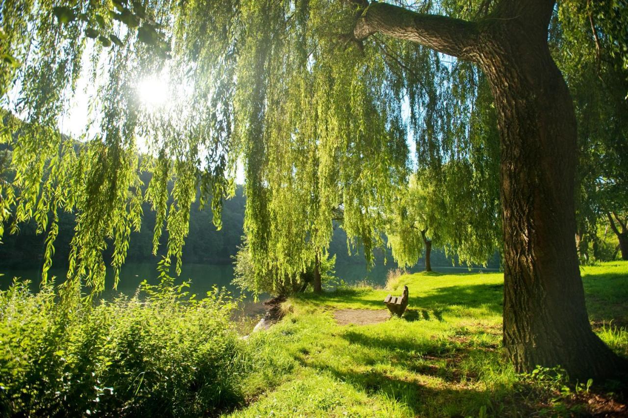 Am Sauerbrunnen Hébergement de vacances